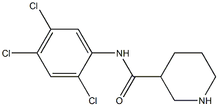 N-(2,4,5-trichlorophenyl)piperidine-3-carboxamide Struktur