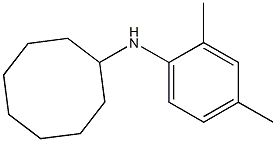 N-(2,4-dimethylphenyl)cyclooctanamine Struktur