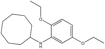 N-(2,5-diethoxyphenyl)cyclooctanamine Struktur