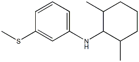 N-(2,6-dimethylcyclohexyl)-3-(methylsulfanyl)aniline Struktur