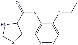 N-(2-ethoxyphenyl)-1,3-thiazolidine-4-carboxamide Struktur