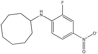 N-(2-fluoro-4-nitrophenyl)cyclooctanamine Struktur