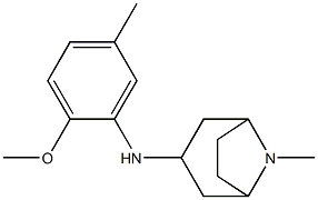 N-(2-methoxy-5-methylphenyl)-8-methyl-8-azabicyclo[3.2.1]octan-3-amine Struktur