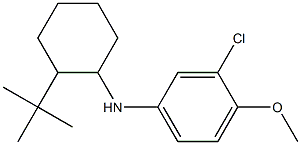 N-(2-tert-butylcyclohexyl)-3-chloro-4-methoxyaniline Struktur