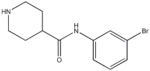 N-(3-bromophenyl)piperidine-4-carboxamide Struktur