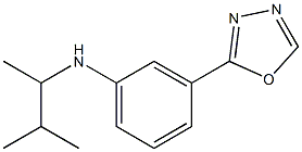 N-(3-methylbutan-2-yl)-3-(1,3,4-oxadiazol-2-yl)aniline Struktur