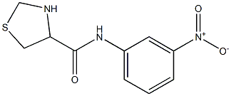 N-(3-nitrophenyl)-1,3-thiazolidine-4-carboxamide Struktur