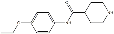 N-(4-ethoxyphenyl)piperidine-4-carboxamide Struktur