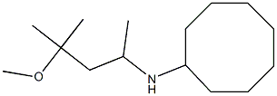 N-(4-methoxy-4-methylpentan-2-yl)cyclooctanamine Struktur