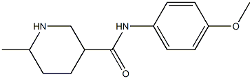 N-(4-methoxyphenyl)-6-methylpiperidine-3-carboxamide Struktur