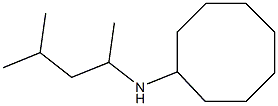 N-(4-methylpentan-2-yl)cyclooctanamine Struktur