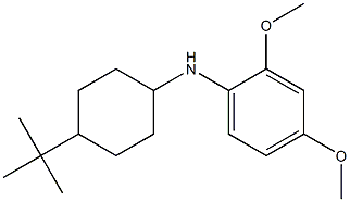 N-(4-tert-butylcyclohexyl)-2,4-dimethoxyaniline Struktur