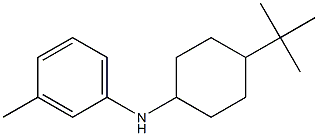 N-(4-tert-butylcyclohexyl)-3-methylaniline Struktur