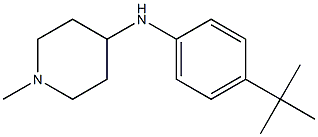 N-(4-tert-butylphenyl)-1-methylpiperidin-4-amine Struktur