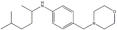 N-(5-methylhexan-2-yl)-4-(morpholin-4-ylmethyl)aniline Struktur