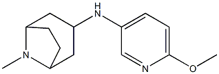 N-(6-methoxypyridin-3-yl)-8-methyl-8-azabicyclo[3.2.1]octan-3-amine Struktur