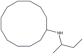 N-(butan-2-yl)cyclododecanamine Struktur