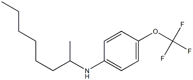 N-(octan-2-yl)-4-(trifluoromethoxy)aniline Struktur