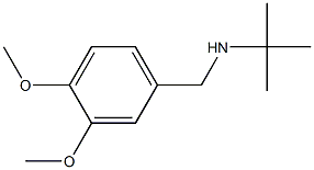 N-(tert-butyl)-N-(3,4-dimethoxybenzyl)amine Struktur