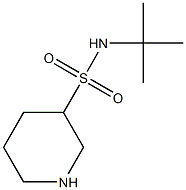 N-(tert-butyl)piperidine-3-sulfonamide Struktur