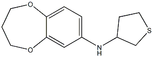 N-(thiolan-3-yl)-3,4-dihydro-2H-1,5-benzodioxepin-7-amine Struktur