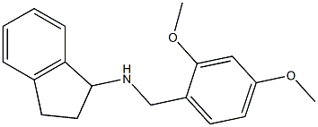 N-[(2,4-dimethoxyphenyl)methyl]-2,3-dihydro-1H-inden-1-amine Struktur