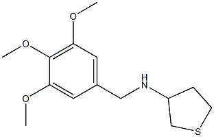 N-[(3,4,5-trimethoxyphenyl)methyl]thiolan-3-amine Struktur