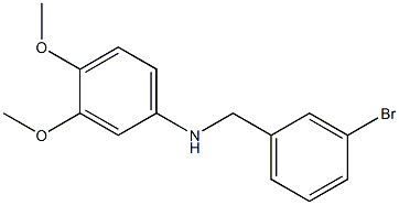 N-[(3-bromophenyl)methyl]-3,4-dimethoxyaniline Struktur