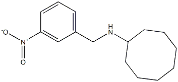 N-[(3-nitrophenyl)methyl]cyclooctanamine Struktur