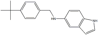 N-[(4-tert-butylphenyl)methyl]-1H-indol-5-amine Struktur