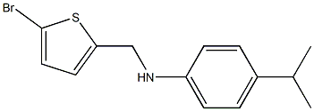 N-[(5-bromothiophen-2-yl)methyl]-4-(propan-2-yl)aniline Struktur