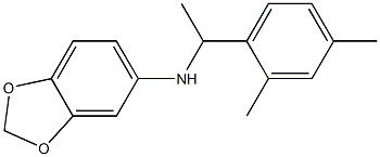 N-[1-(2,4-dimethylphenyl)ethyl]-2H-1,3-benzodioxol-5-amine Struktur