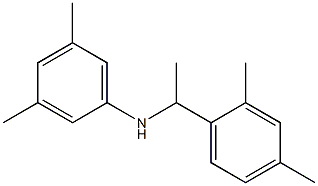 N-[1-(2,4-dimethylphenyl)ethyl]-3,5-dimethylaniline Struktur