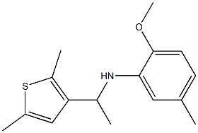 N-[1-(2,5-dimethylthiophen-3-yl)ethyl]-2-methoxy-5-methylaniline Struktur