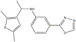 N-[1-(2,5-dimethylthiophen-3-yl)ethyl]-3-(1,3,4-oxadiazol-2-yl)aniline Struktur