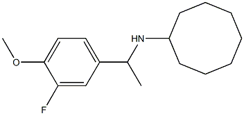 N-[1-(3-fluoro-4-methoxyphenyl)ethyl]cyclooctanamine Struktur