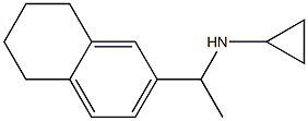 N-[1-(5,6,7,8-tetrahydronaphthalen-2-yl)ethyl]cyclopropanamine Struktur