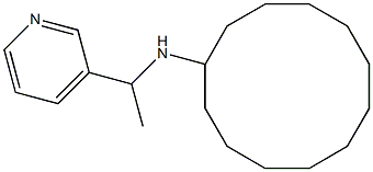 N-[1-(pyridin-3-yl)ethyl]cyclododecanamine Struktur