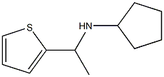 N-[1-(thiophen-2-yl)ethyl]cyclopentanamine Struktur