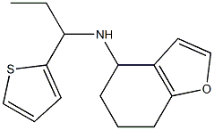 N-[1-(thiophen-2-yl)propyl]-4,5,6,7-tetrahydro-1-benzofuran-4-amine Struktur