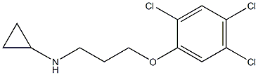 N-[3-(2,4,5-trichlorophenoxy)propyl]cyclopropanamine Struktur