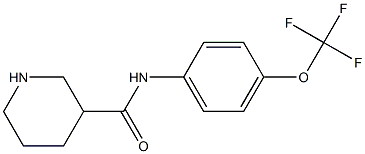 N-[4-(trifluoromethoxy)phenyl]piperidine-3-carboxamide Struktur