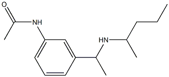 N-{3-[1-(pentan-2-ylamino)ethyl]phenyl}acetamide Struktur