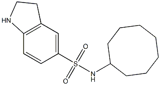 N-cyclooctyl-2,3-dihydro-1H-indole-5-sulfonamide Struktur