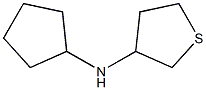 N-cyclopentylthiolan-3-amine Struktur