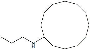 N-propylcyclododecanamine Struktur