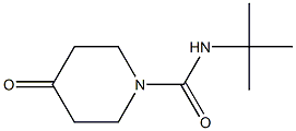 N-tert-butyl-4-oxopiperidine-1-carboxamide Struktur