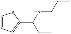 propyl[1-(thiophen-2-yl)propyl]amine Struktur