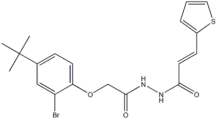 2-[2-bromo-4-(tert-butyl)phenoxy]-N'-[(E)-3-(2-thienyl)-2-propenoyl]acetohydrazide Struktur