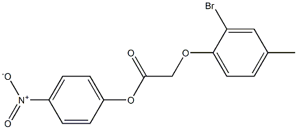 4-nitrophenyl 2-(2-bromo-4-methylphenoxy)acetate Struktur